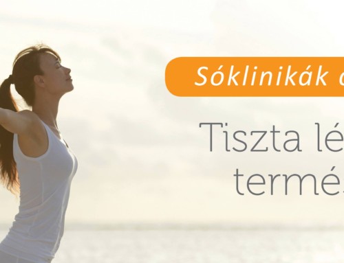 Indiso Sóklinika Kft. közösségi média menedzsment
